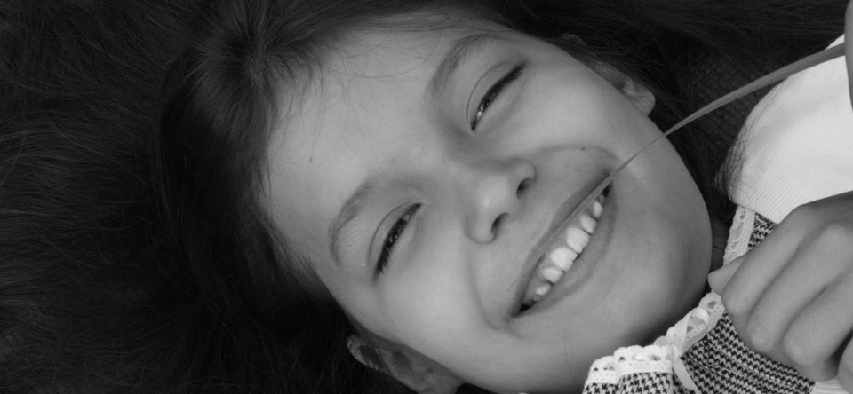 自动攻击网站工具下载